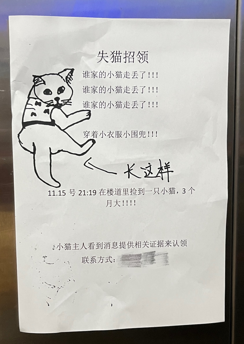 找主人案例