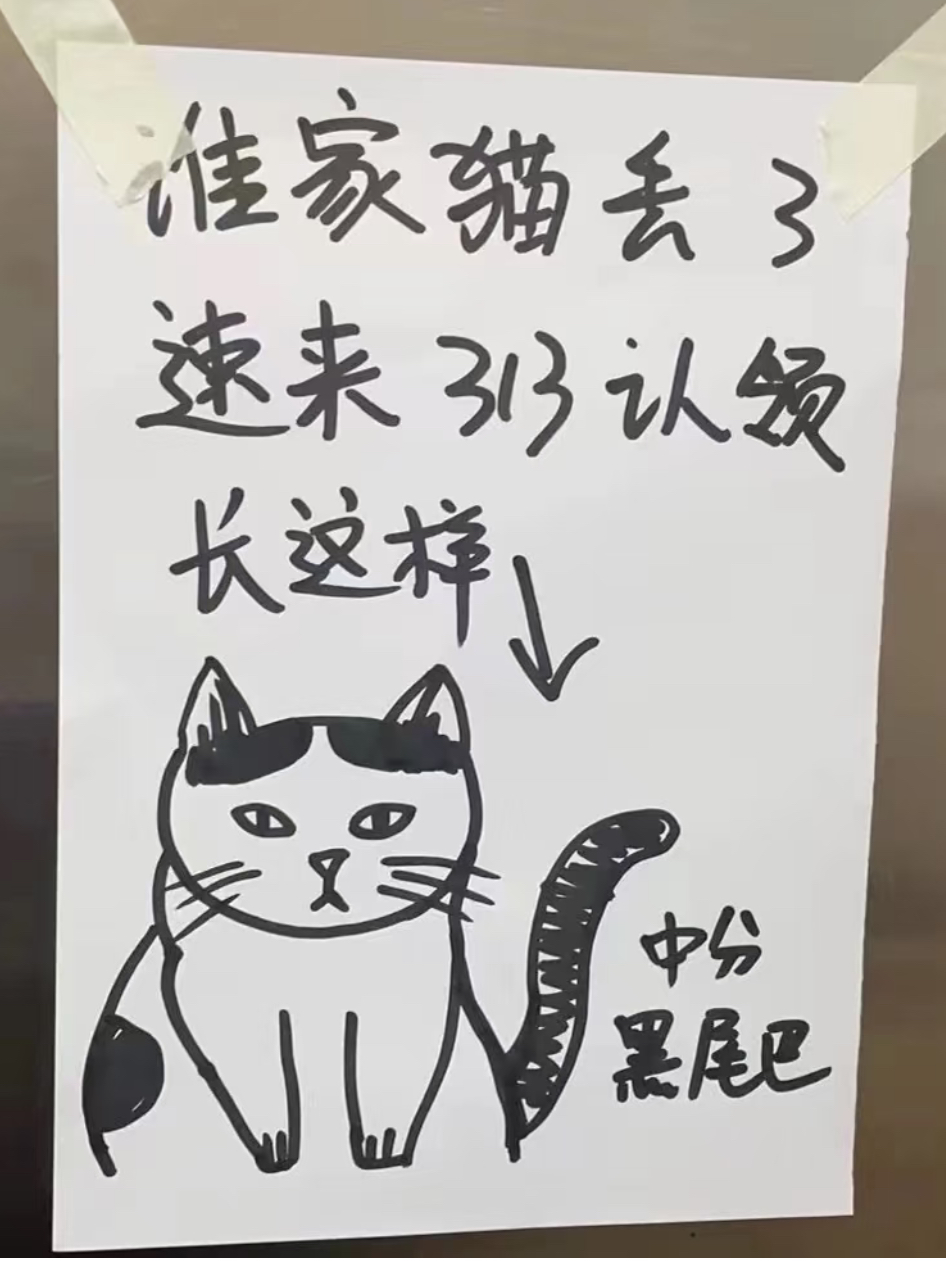 认领发布案例