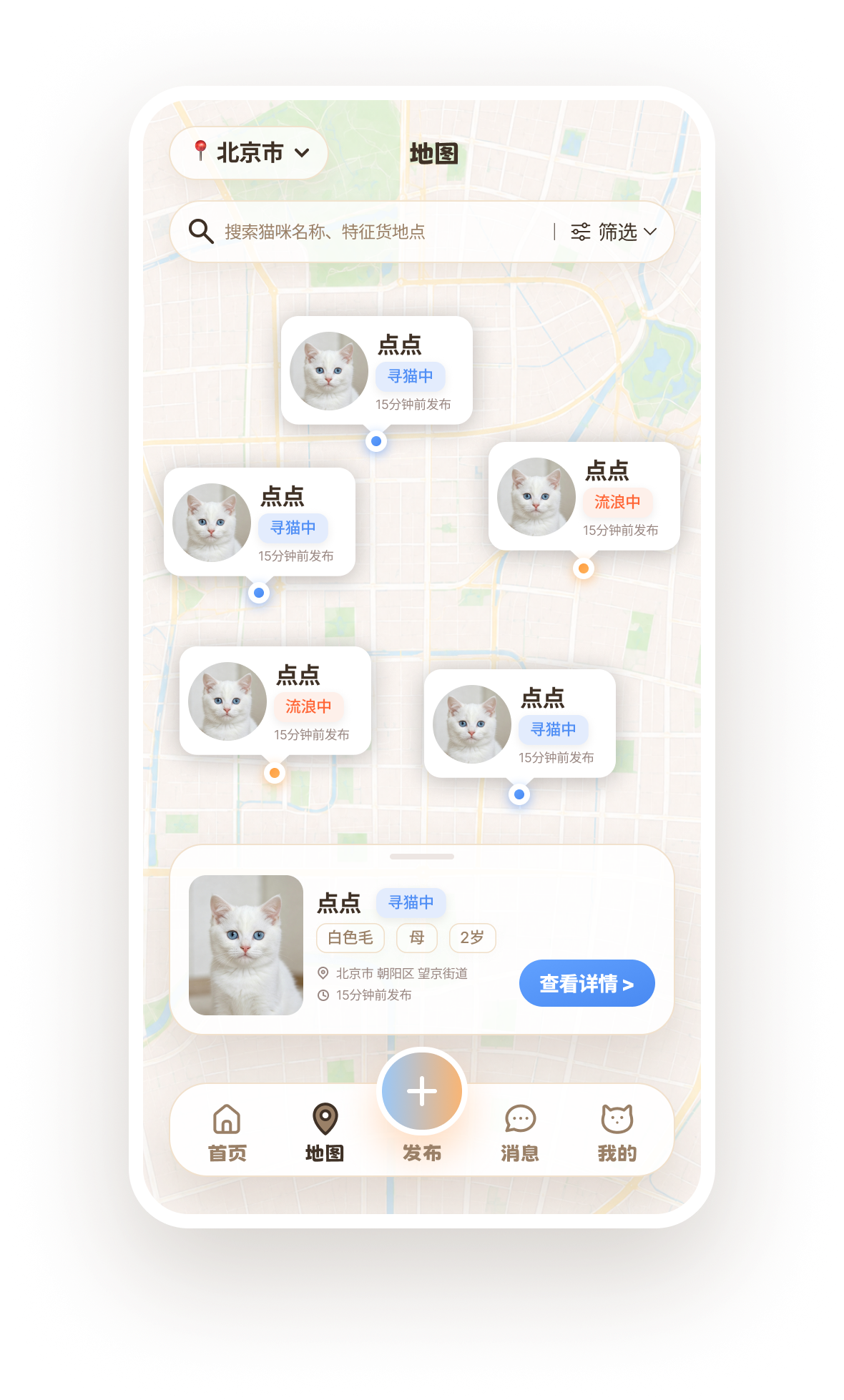 Cat ID 页面原型